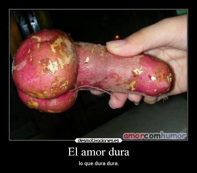 El amor dura - lo que dura dura.