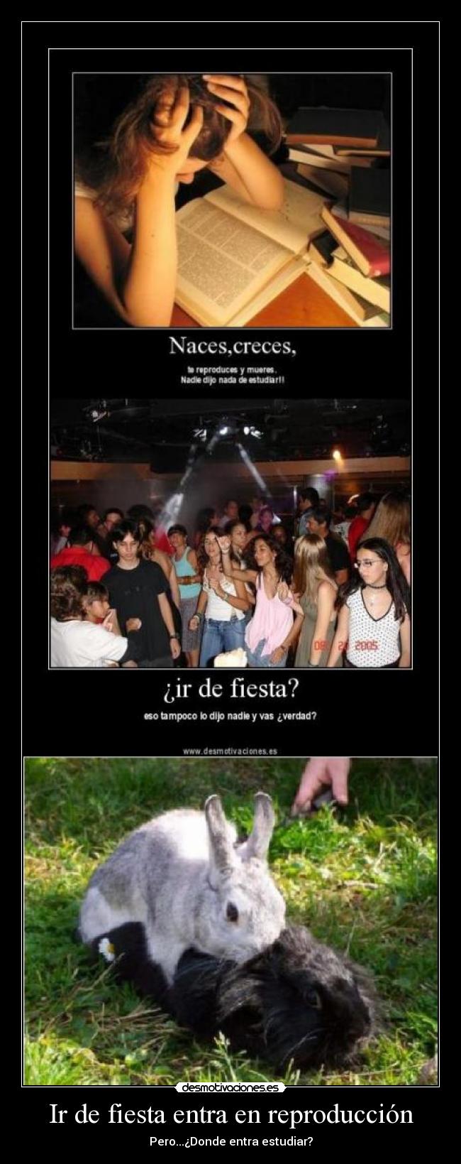 Ir de fiesta entra en reproducción - 