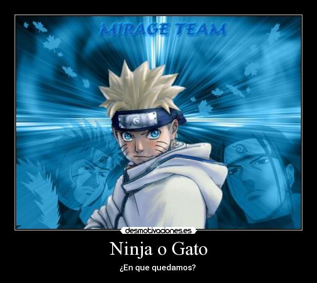 carteles ninja gato naruto desmotivaciones