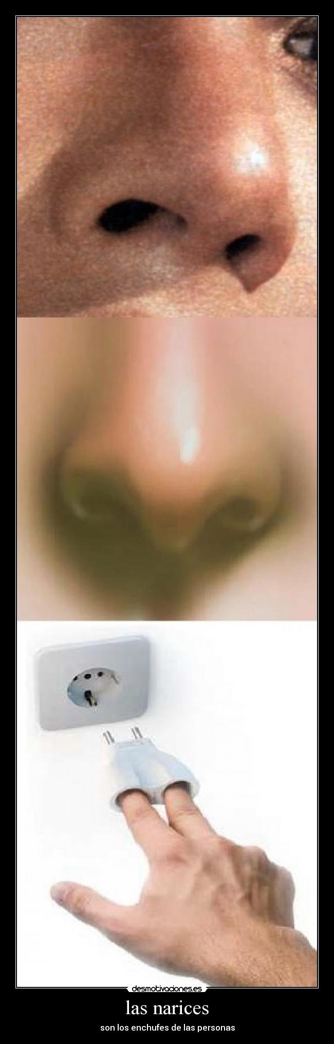 las narices - 