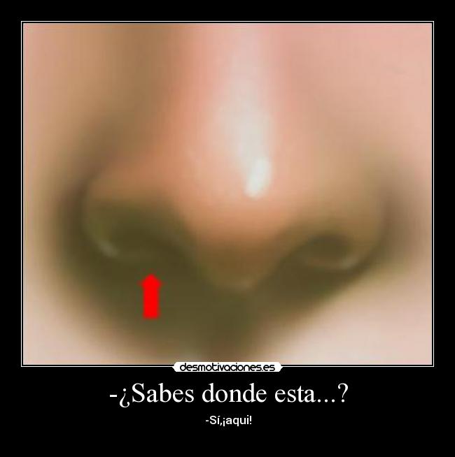 carteles nariz desmotivaciones