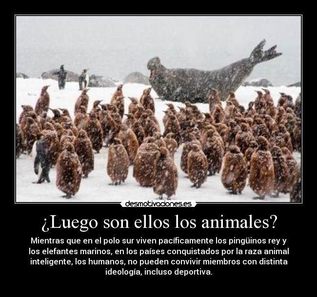 ¿Luego son ellos los animales? - 