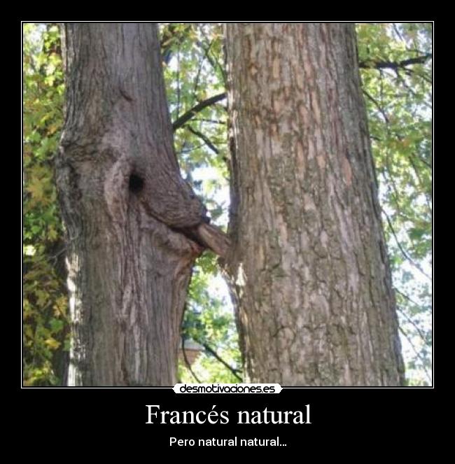 Francés natural -