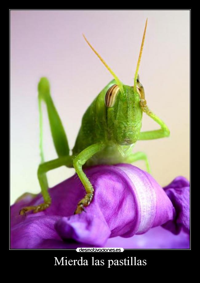 Mierda las pastillas -