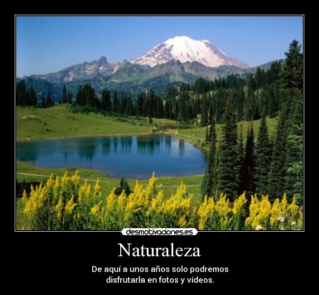 carteles naturaleza naturaleza desmotiva desertizacion desmotivaciones