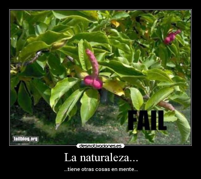 La naturaleza... - 