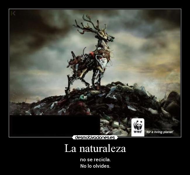 La naturaleza -