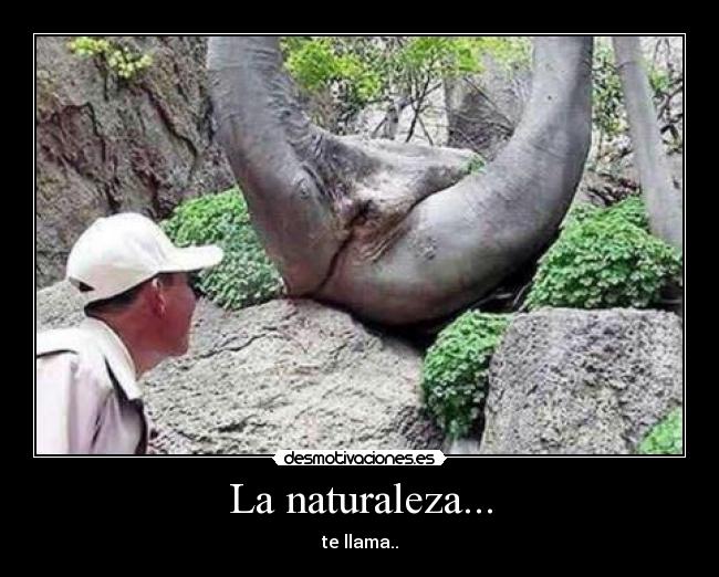 La naturaleza... - te llama..
