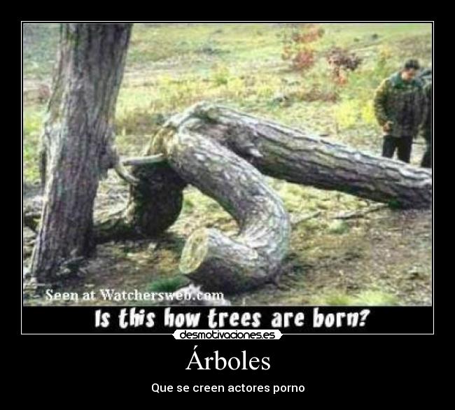 Árboles - 