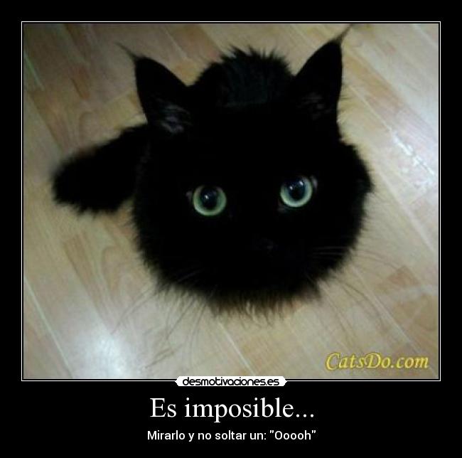 Es imposible... - 