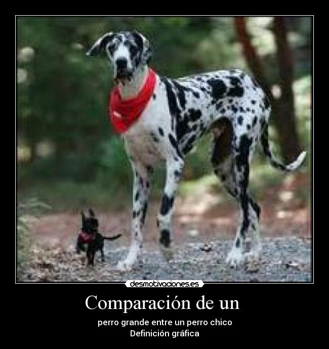 Comparación de un - perro grande entre un perro chico
Definición gráfica