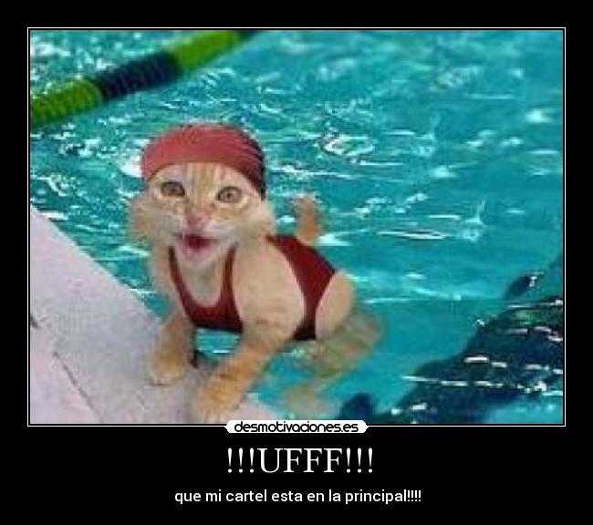 carteles davilillo desmotivaciones