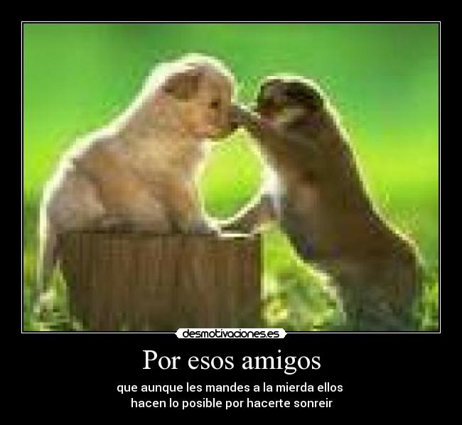 Por esos amigos - que aunque les mandes a la mierda ellos 
hacen lo posible por hacerte sonreir