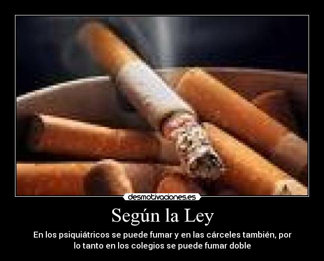 Según la Ley -
