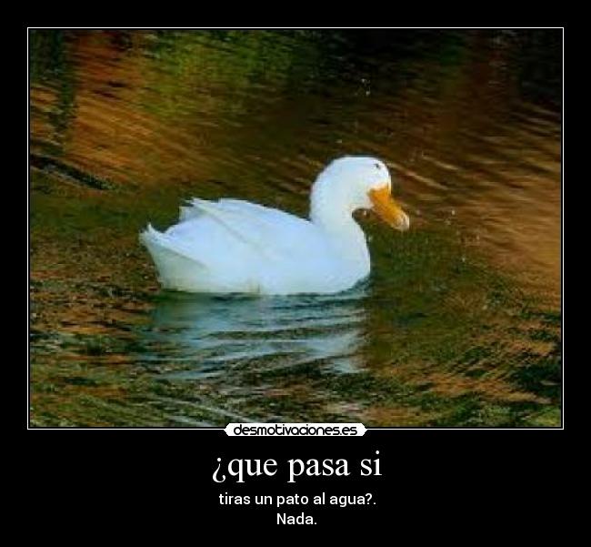 ¿que pasa si -  tiras un pato al agua?.
Nada.