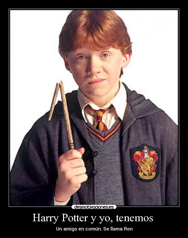 Harry Potter y yo, tenemos  - 