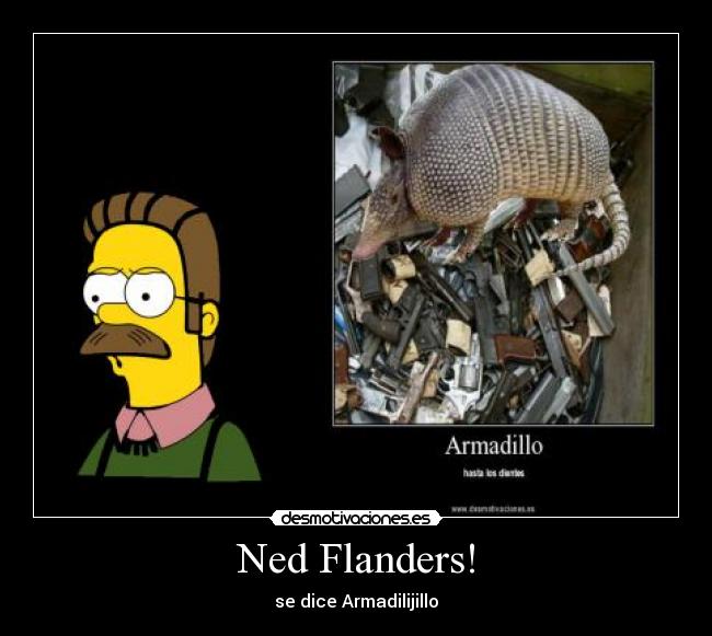 Ned Flanders! -