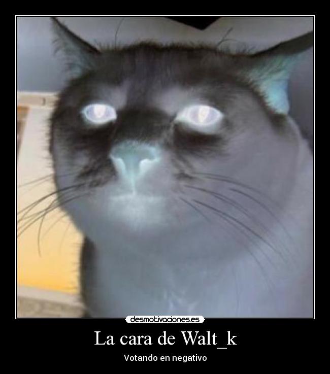 La cara de Walt_k - 