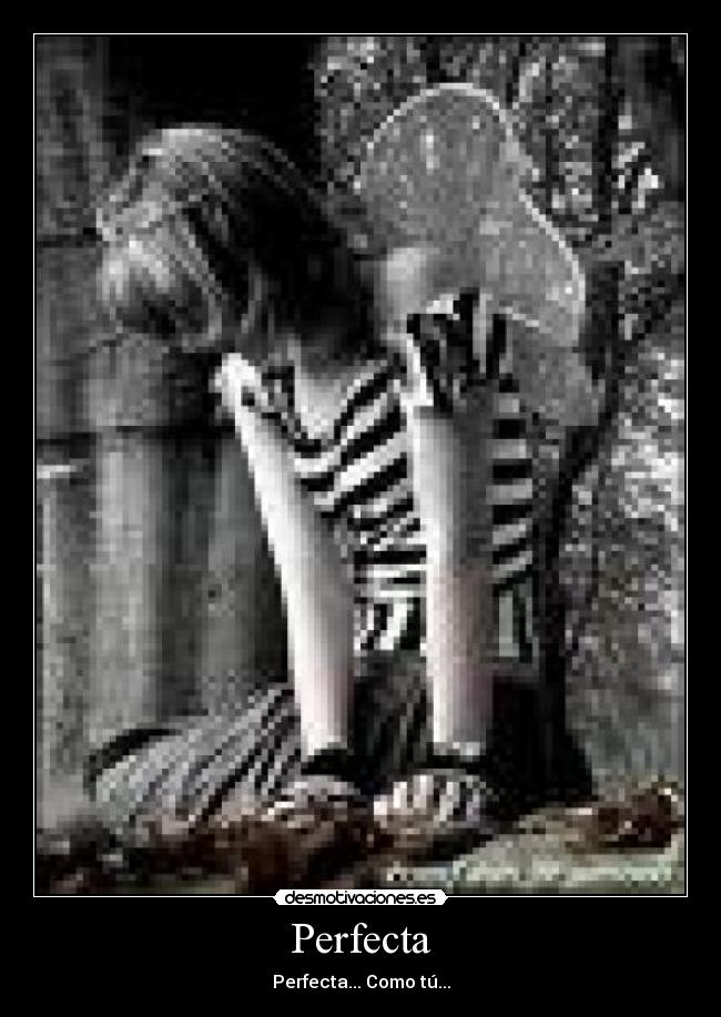 carteles loreemacuu desmotivaciones