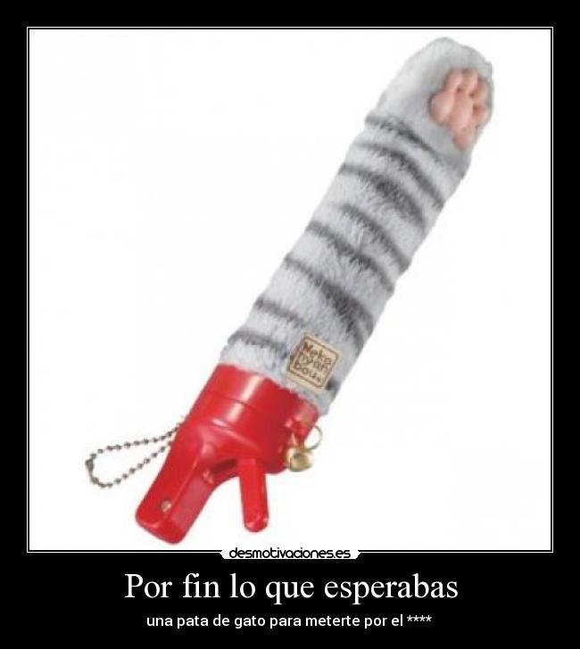 Por fin lo que esperabas - 