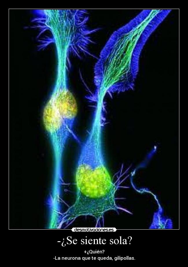 -¿Se siente sola? - 