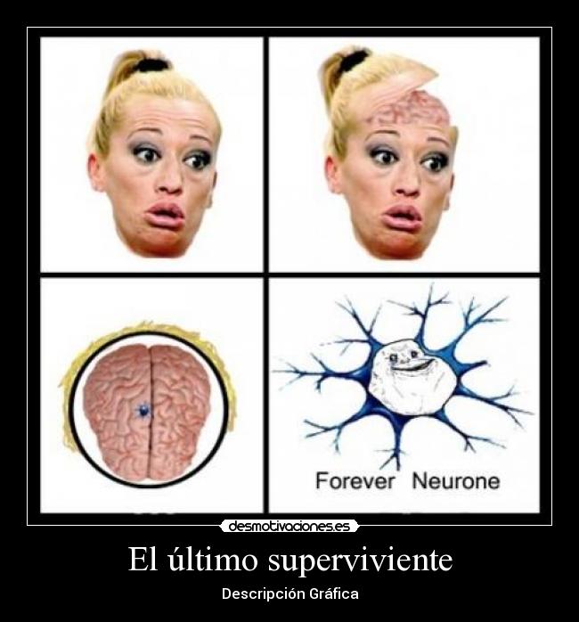 El último superviviente - Descripción Gráfica