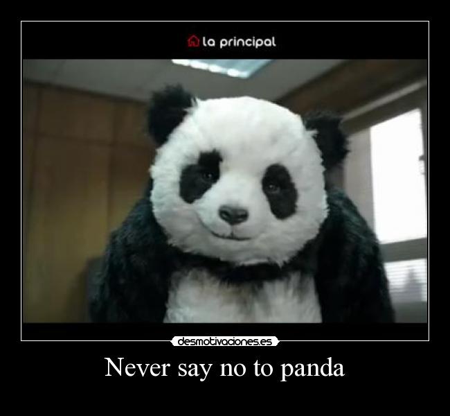 carteles never say panda desmotivaciones