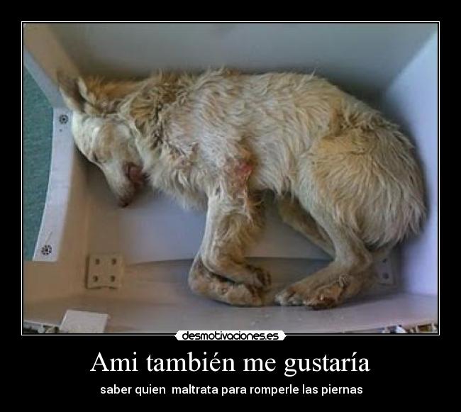 Ami también me gustaría -