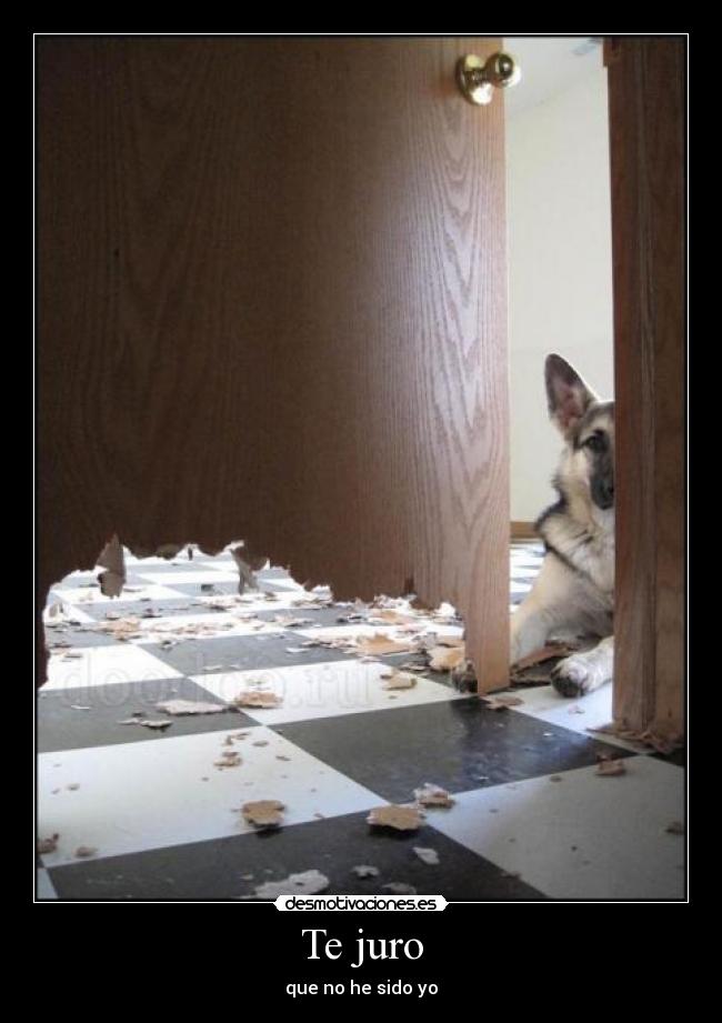 Te juro - que no he sido yo