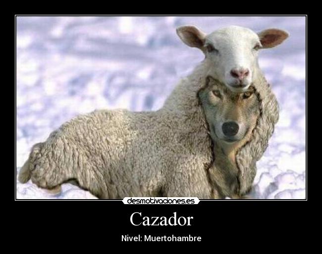 carteles lobo experto cazador desmotivaciones