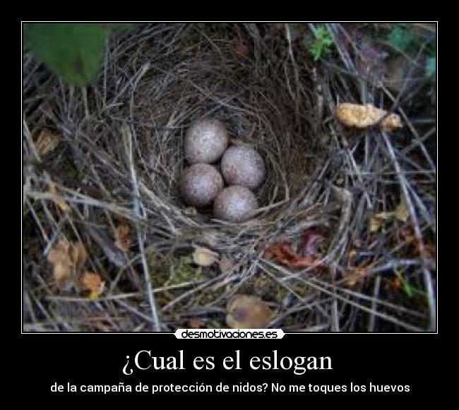 ¿Cual es el eslogan -