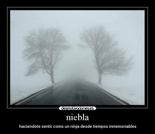 niebla - haciendote sentir como un ninja desde tiempos inmemoriables