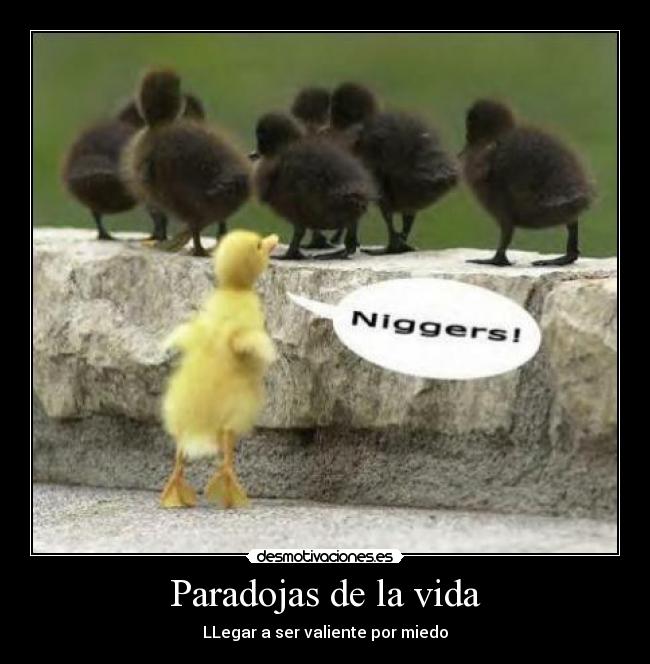 Paradojas de la vida -