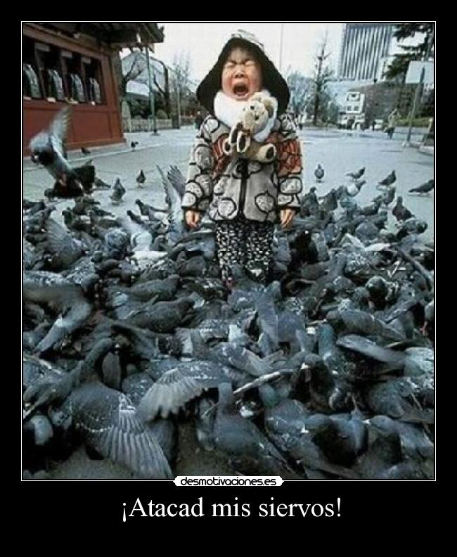 ¡Atacad mis siervos! -