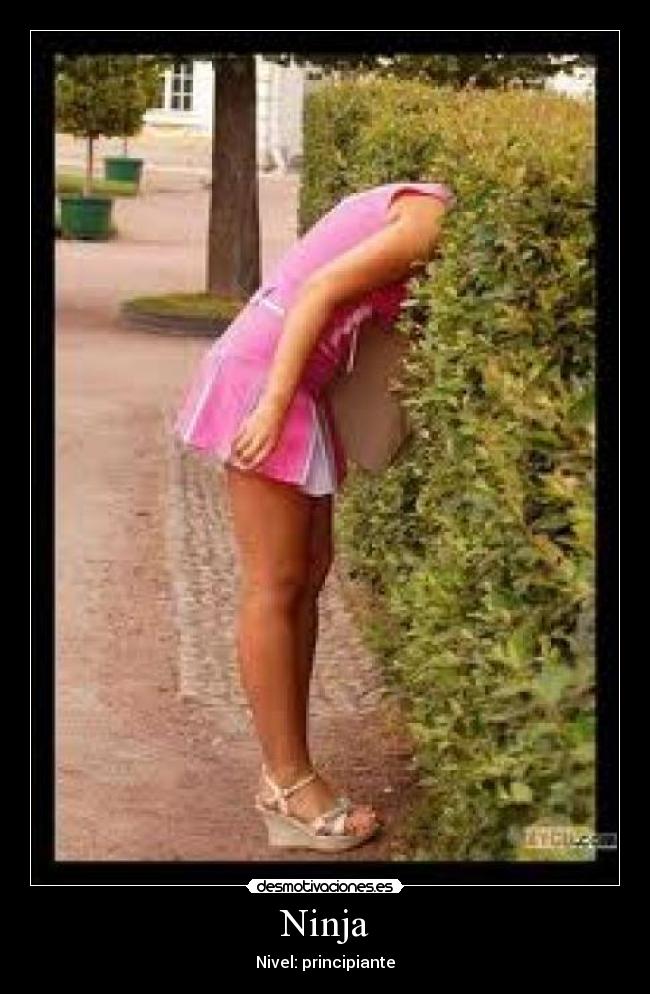 Ninja - Nivel: principiante