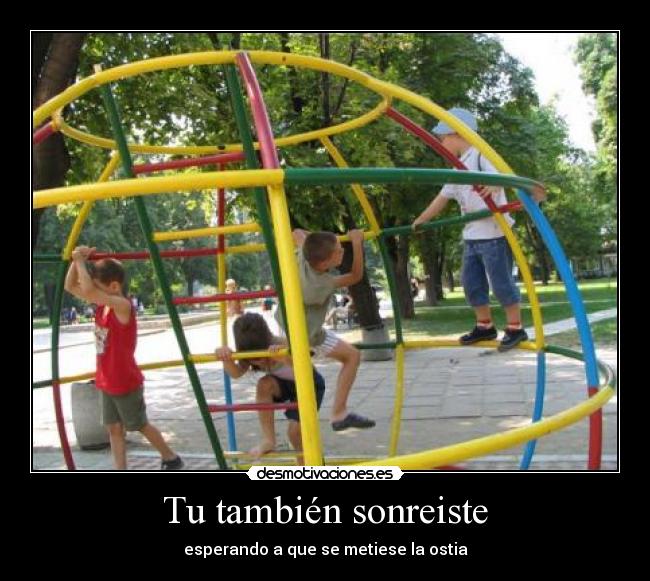 Tu también sonreiste -