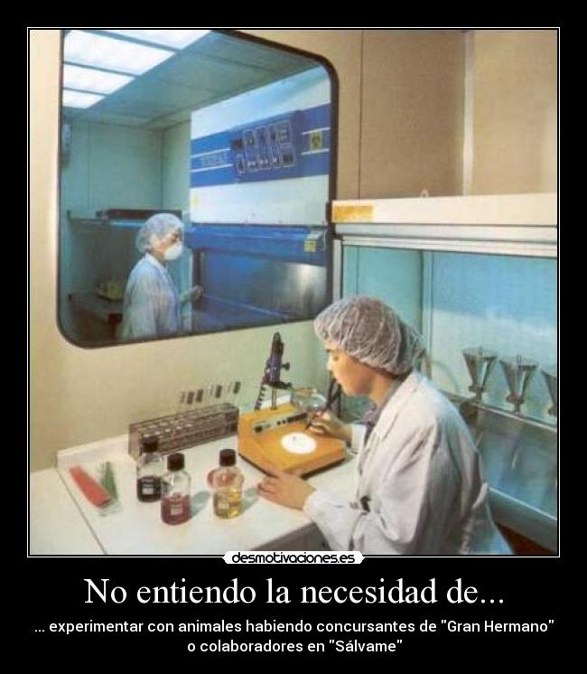 No entiendo la necesidad de... - ... experimentar con animales habiendo concursantes de Gran Hermano
o colaboradores en Sálvame