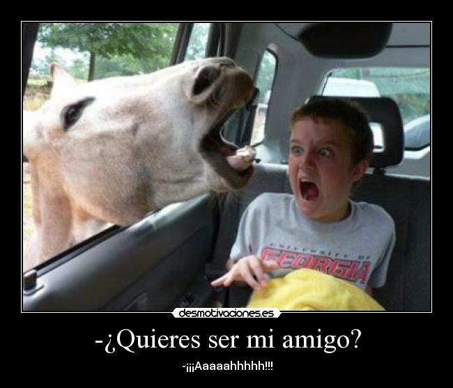 -¿Quieres ser mi amigo? -