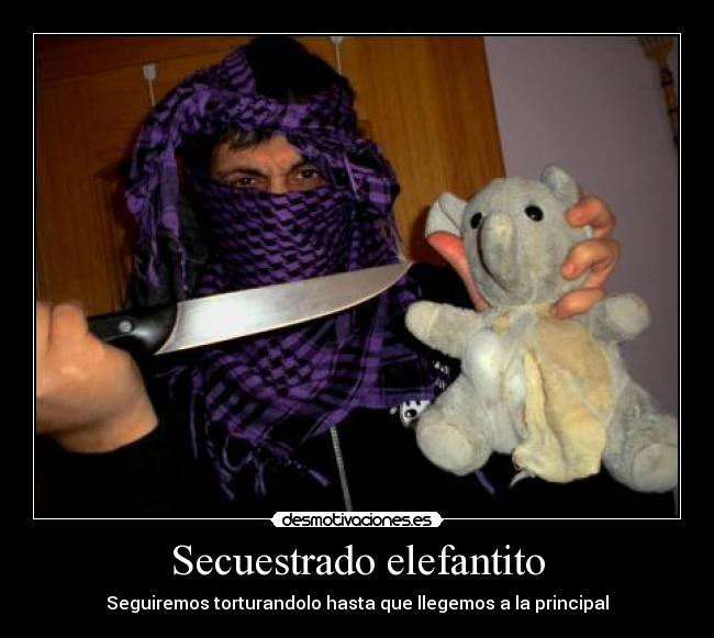 Secuestrado elefantito - 