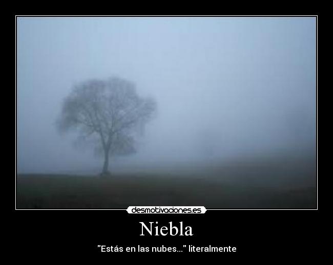 Niebla - 