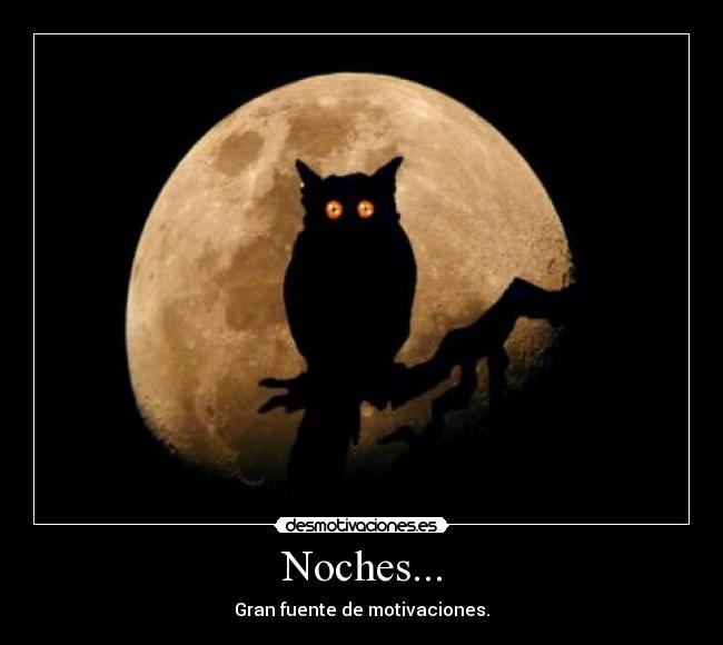 Noches... - Gran fuente de motivaciones.