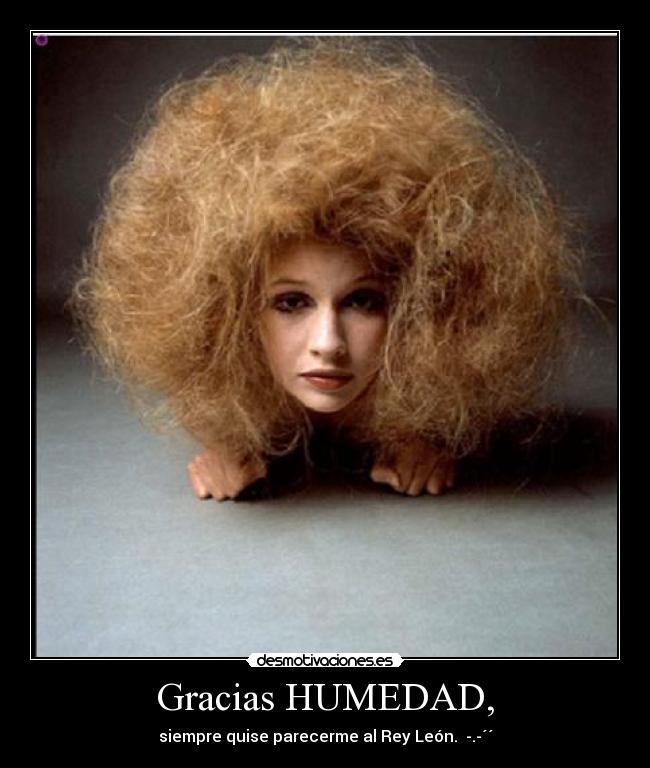 Gracias HUMEDAD, - 