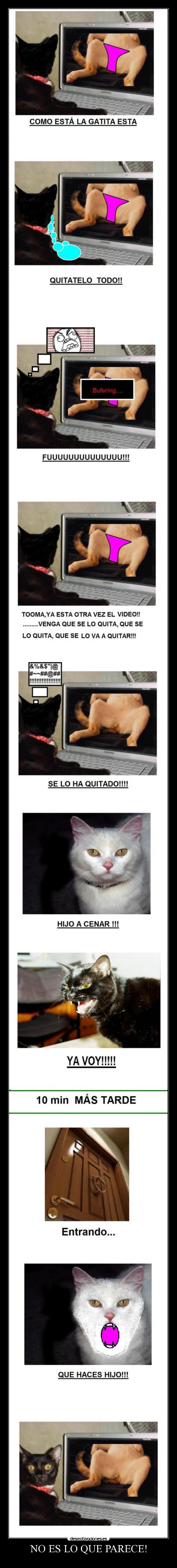 NO ES LO QUE PARECE! -