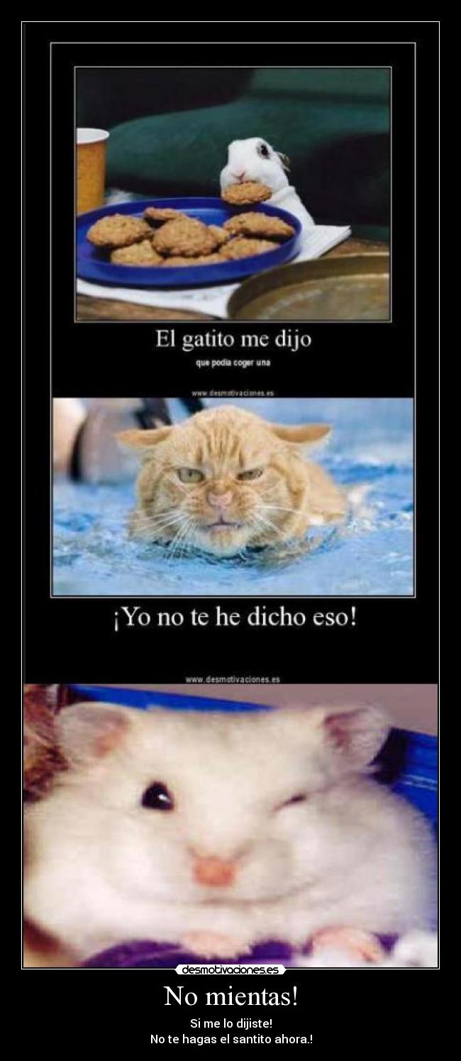 No mientas! -