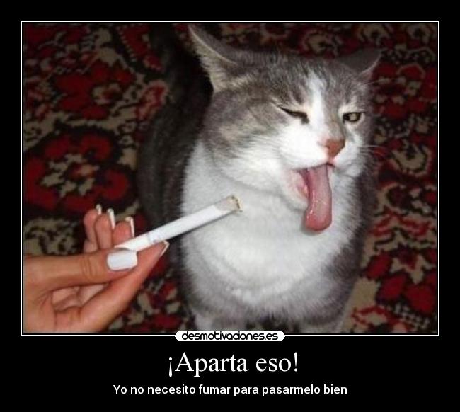 ¡Aparta eso! - Yo no necesito fumar para pasarmelo bien