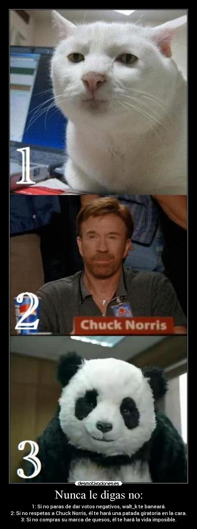carteles panda chuck norris walt_k respeto desmotivaciones