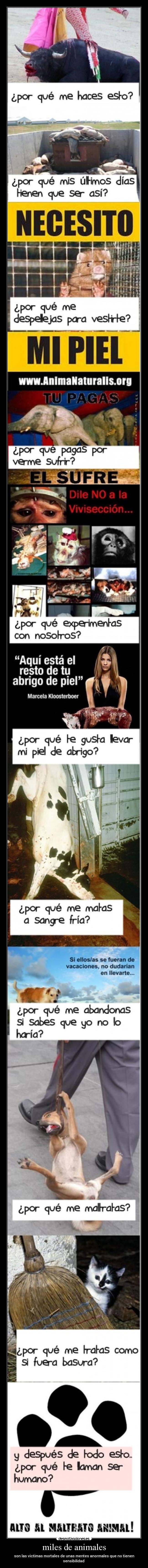 carteles animales animales desmotivaciones