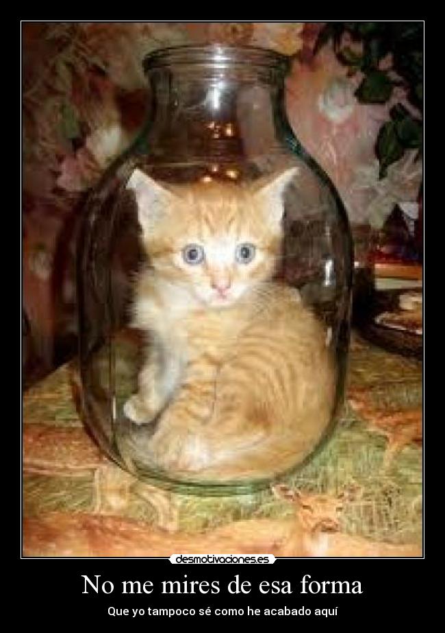 No me mires de esa forma -