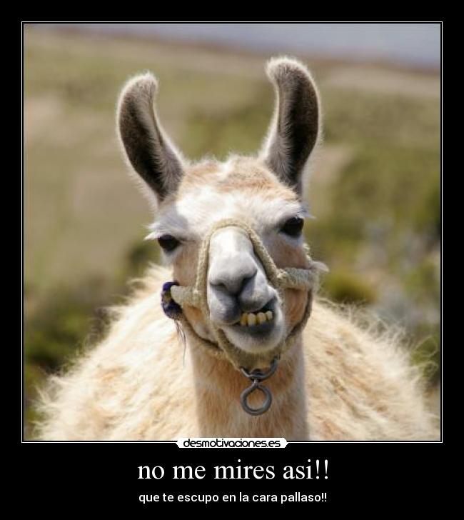 no me mires asi!! - que te escupo en la cara pallaso!!