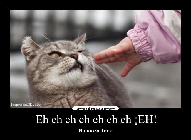 Eh eh eh eh eh eh eh ¡EH! - 
